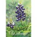 Magnolia Garden Flags Magnolia Garden Flags M080006 13 x 18 in. Bluebonnet Sage Welcome Polyester Garden Flag M080006